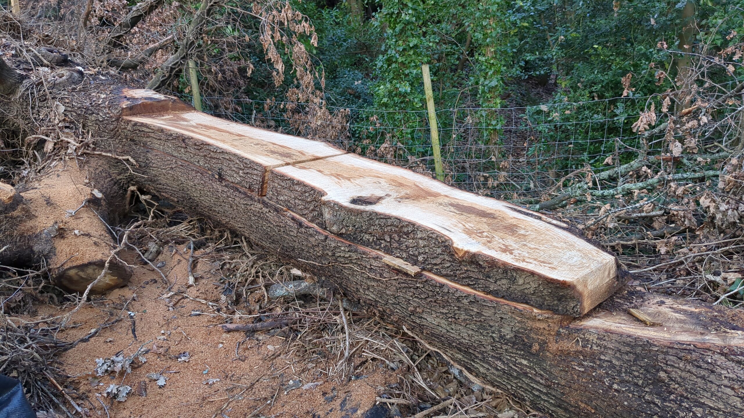 Chainsaw milling