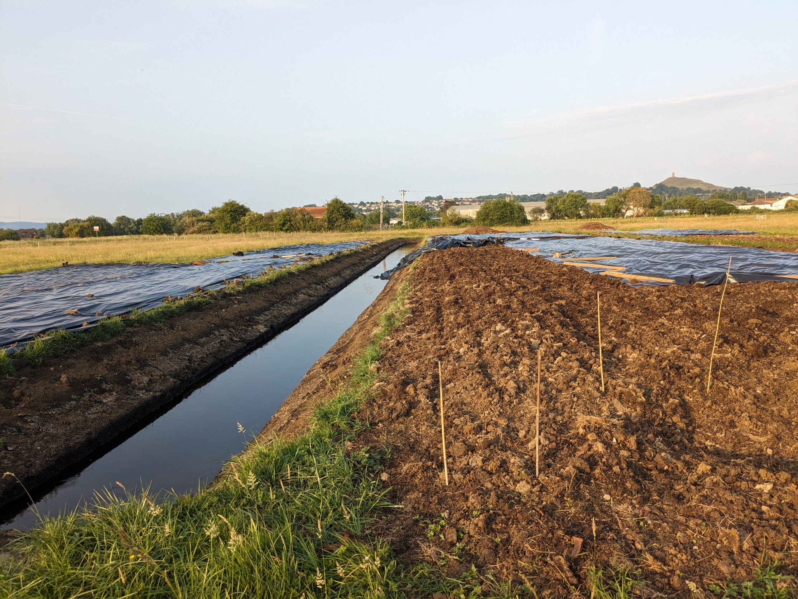 Planting staples 2025